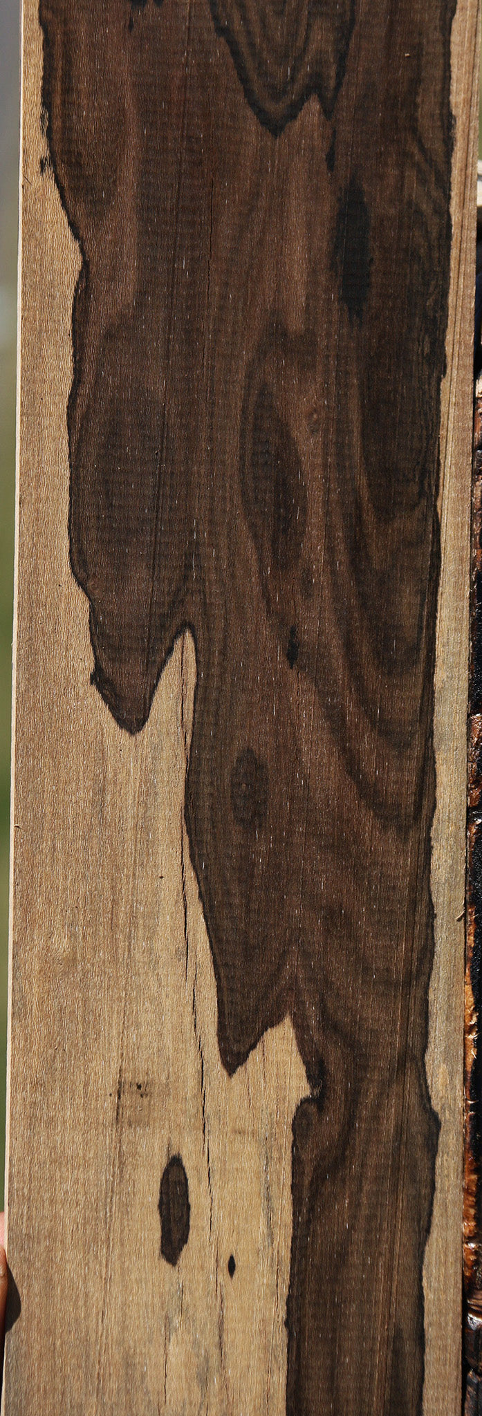Ziricote Micro Lumber