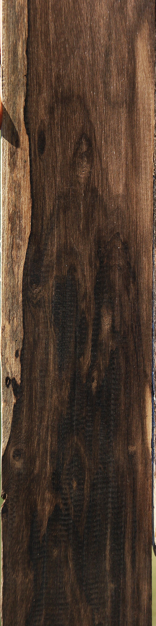 Figured Ziricote Micro Lumber