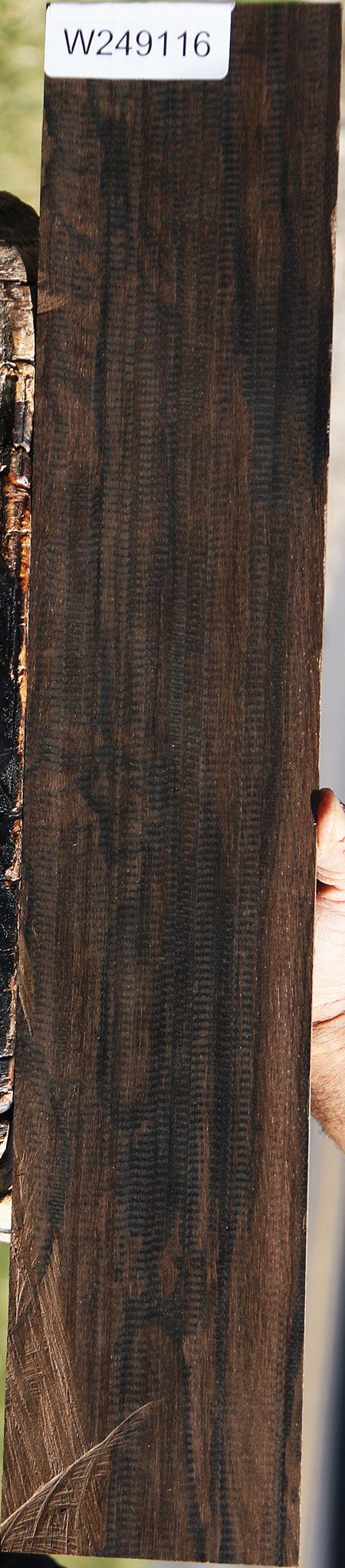 Rustic Ziricote Micro Lumber