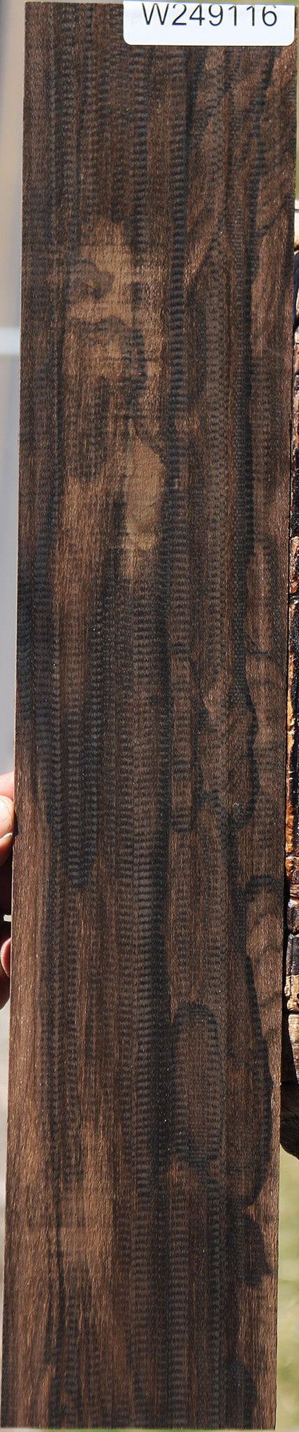Rustic Ziricote Micro Lumber