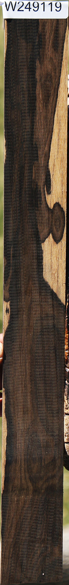 Figured Ziricote Micro Lumber