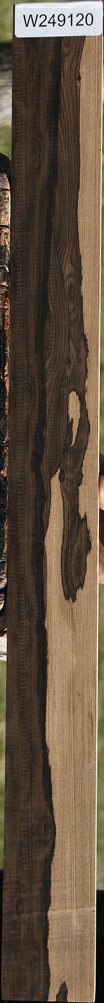 Figured Ziricote Micro Lumber