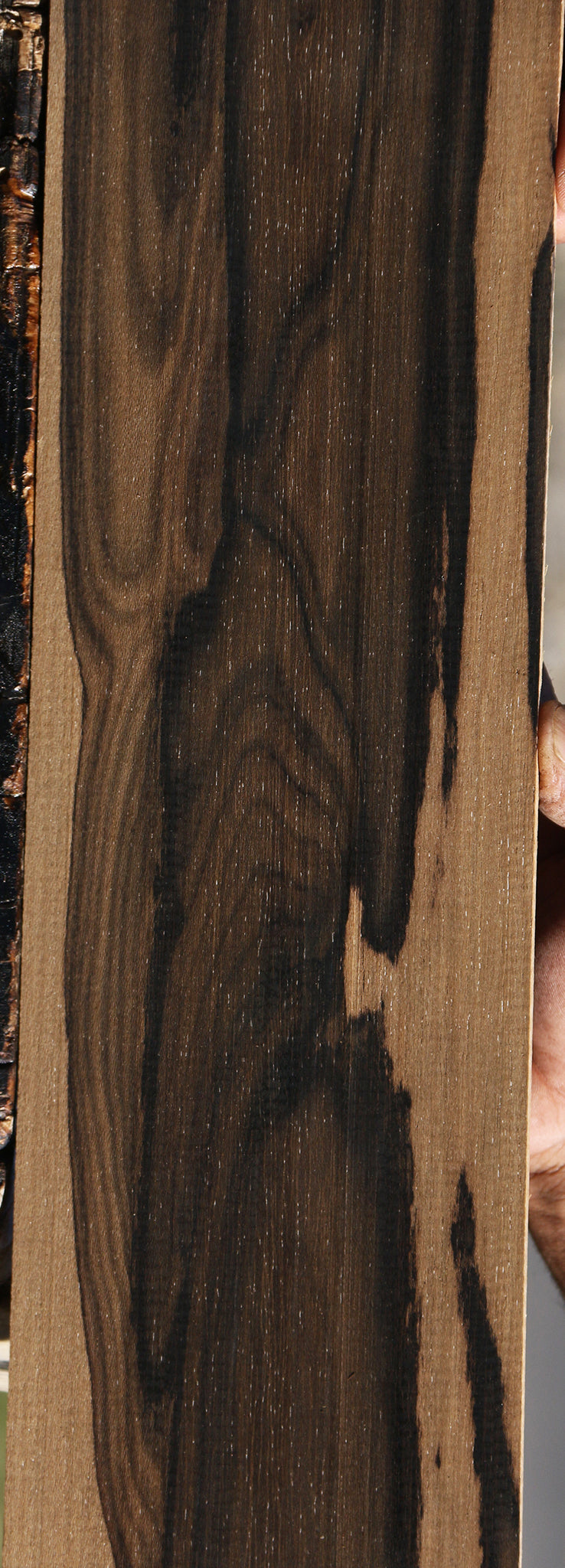 Ziricote Micro Lumber
