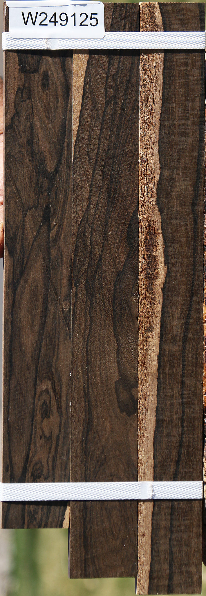 Ziricote Micro Lumber 3 Pack