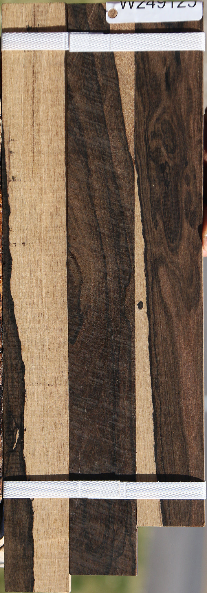 Ziricote Micro Lumber 3 Pack
