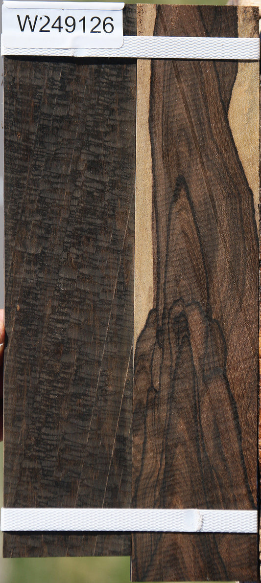 Figured Ziricote Micro Lumber 2 Pack