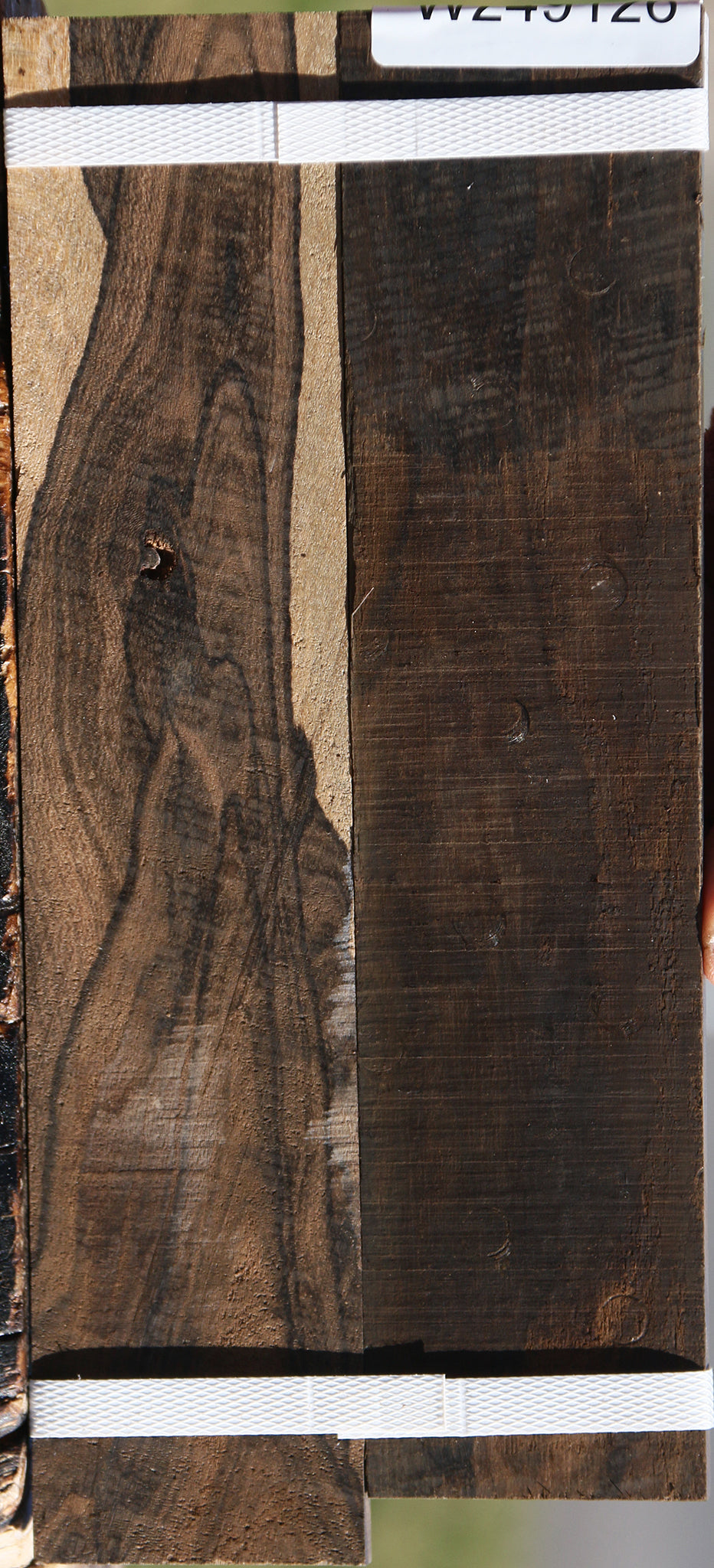 Figured Ziricote Micro Lumber 2 Pack