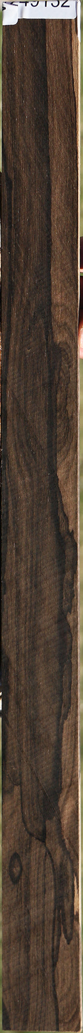 Extra Fancy Ziricote Micro Lumber