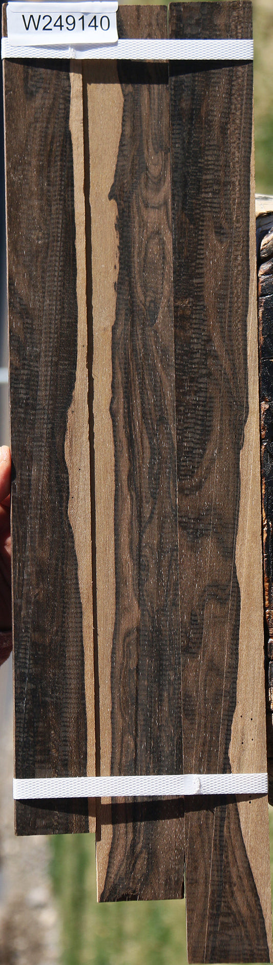 Figured Ziricote Micro Lumber 3 Pack