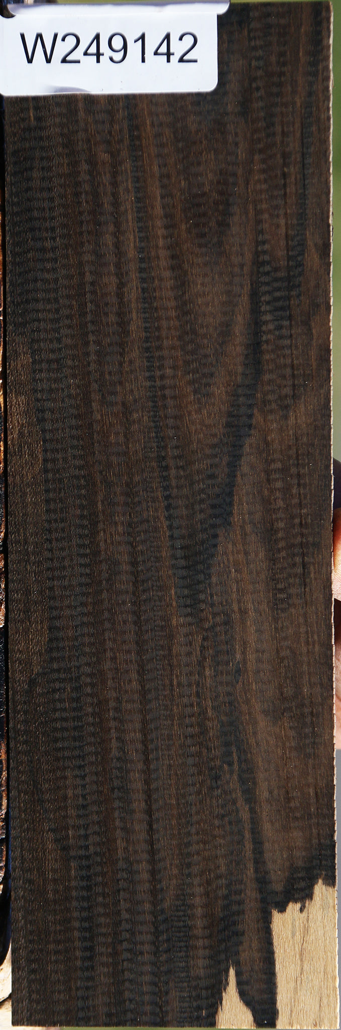 Ziricote Micro Lumber