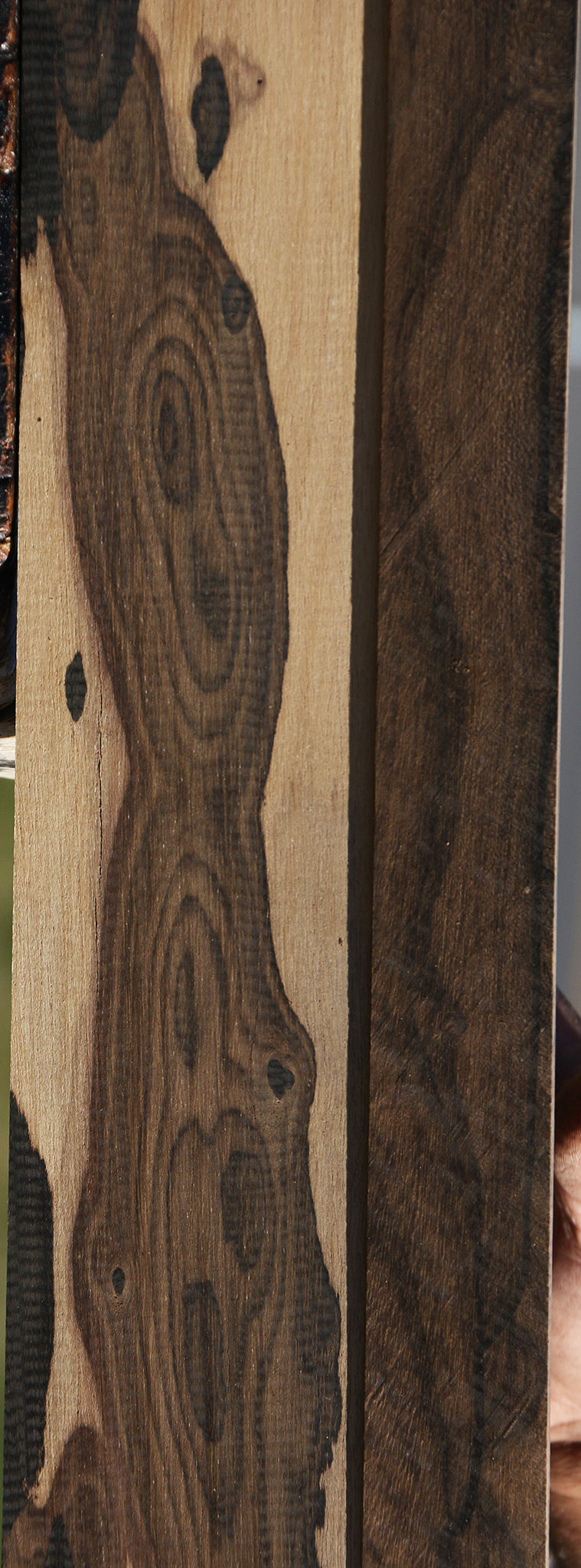 Ziricote Micro Lumber 2 Pack