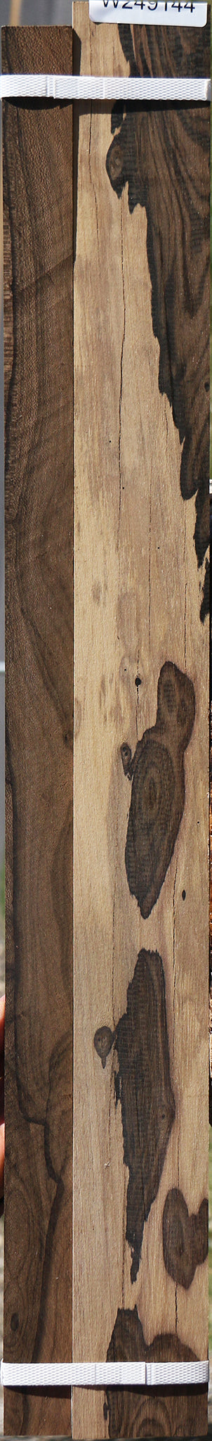 Ziricote Micro Lumber 2 Pack