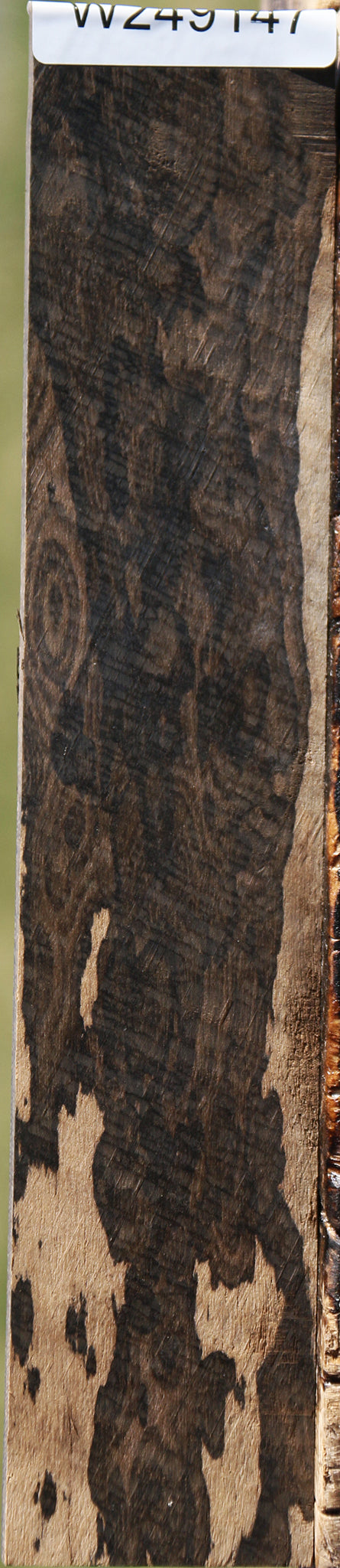Exhibition Ziricote Micro Lumber