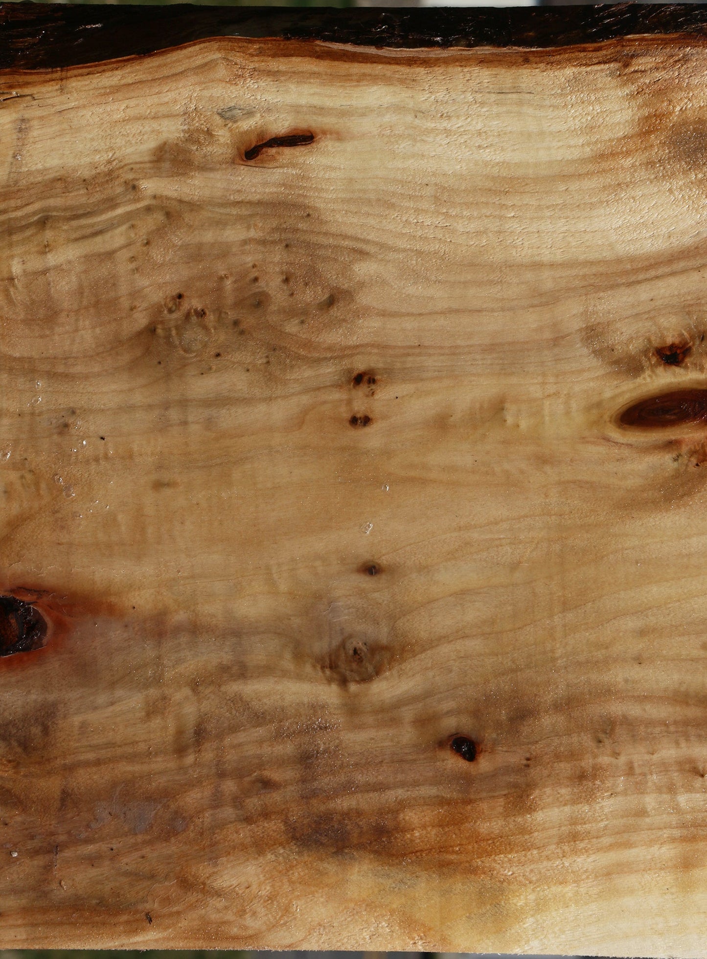 Black Cottonwood Bowl Blank