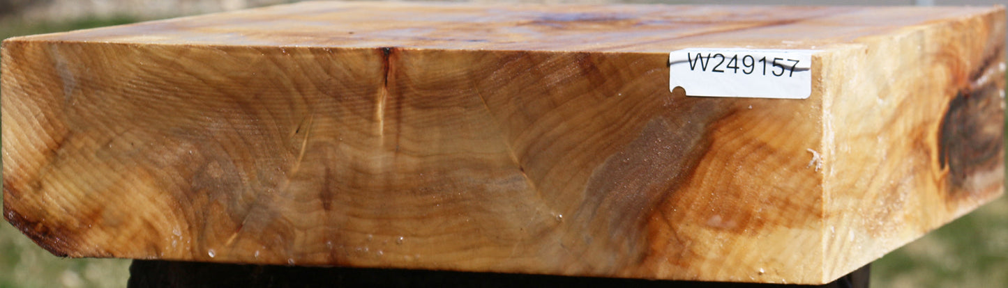Black Cottonwood Bowl Blank