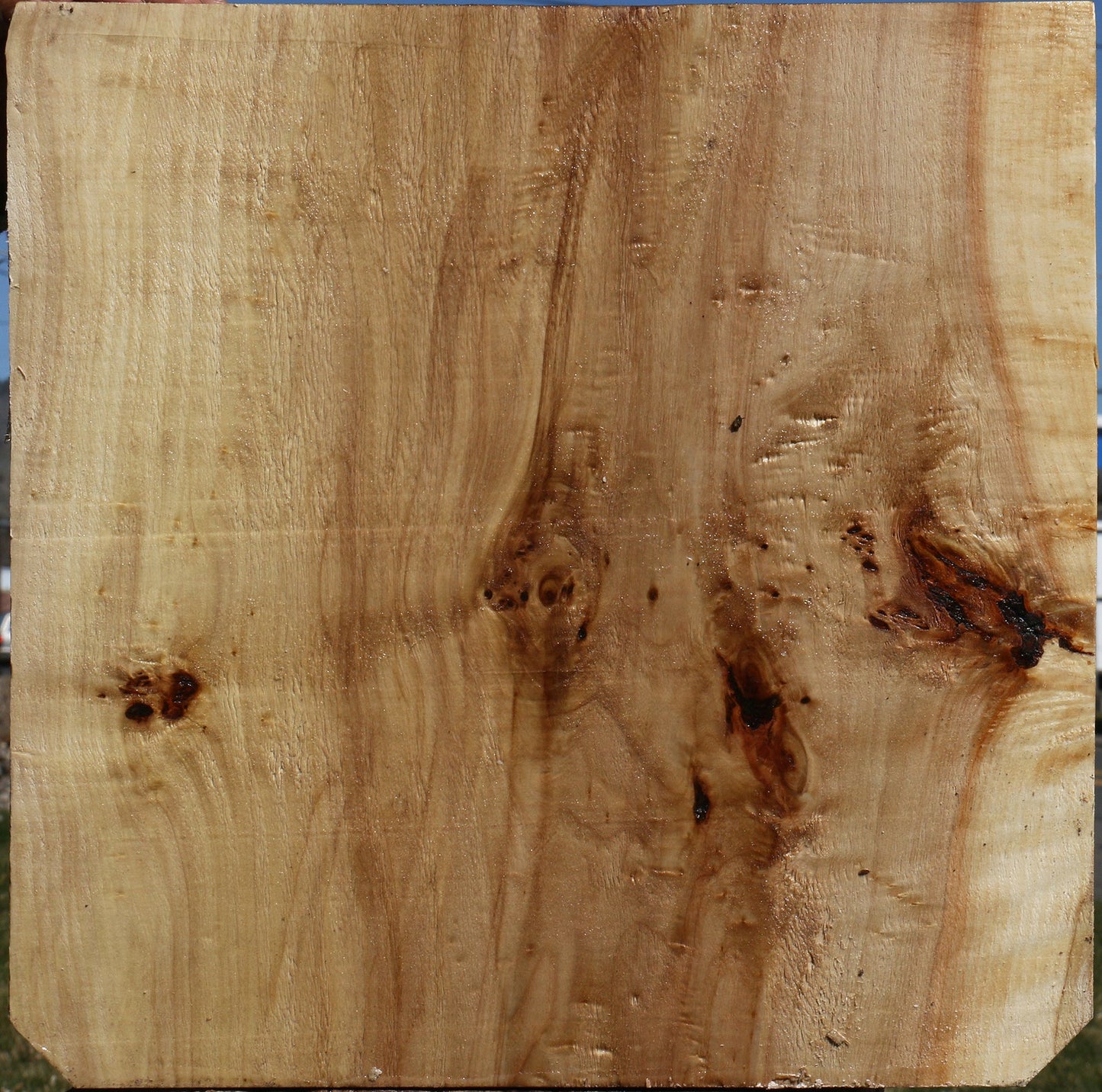 Black Cottonwood Bowl Blank