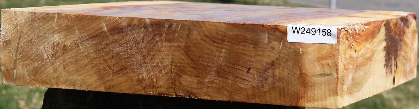 Black Cottonwood Bowl Blank