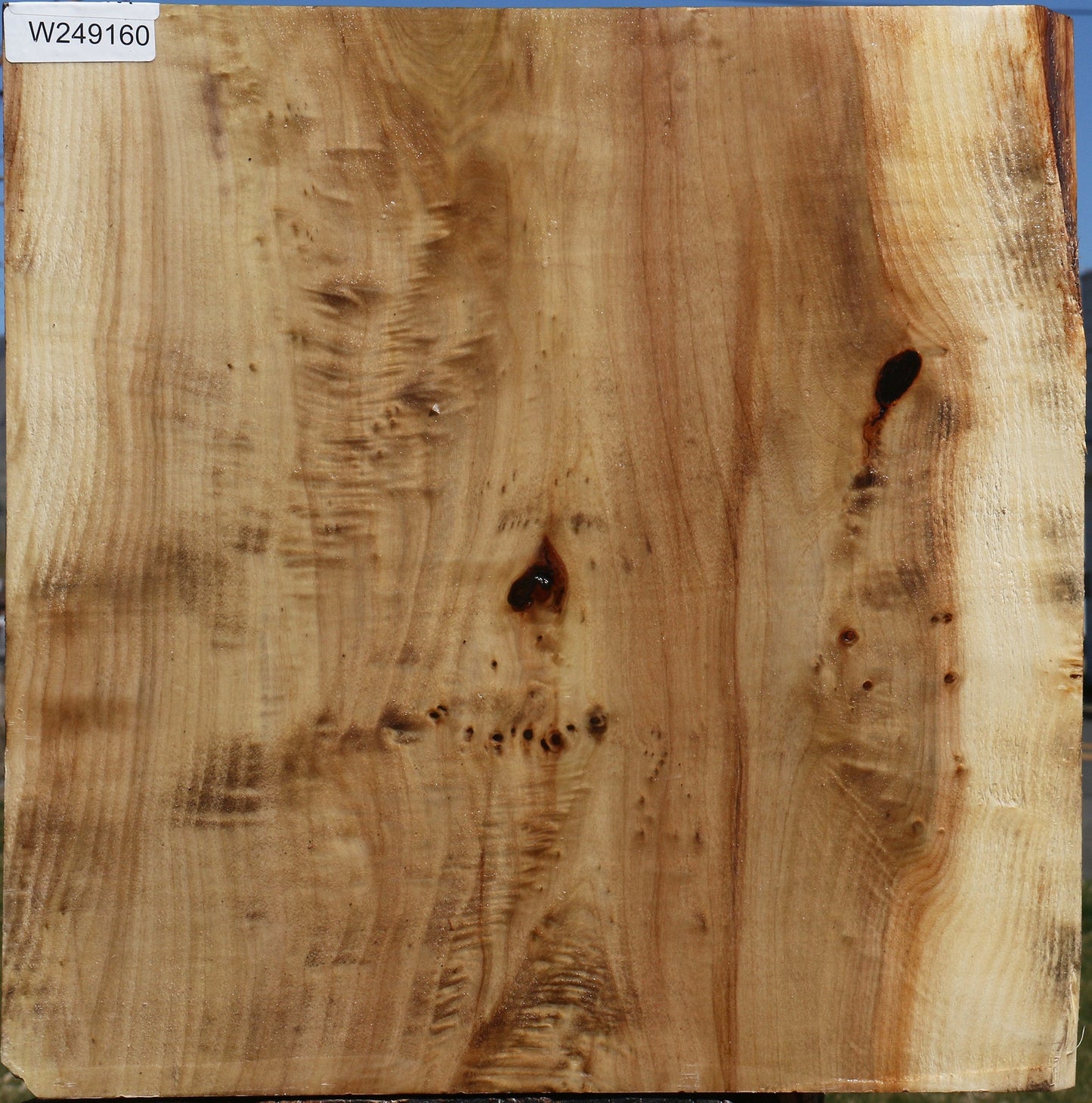 Figured Black Cottonwood Bowl Blank
