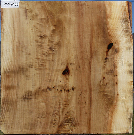 Figured Black Cottonwood Bowl Blank