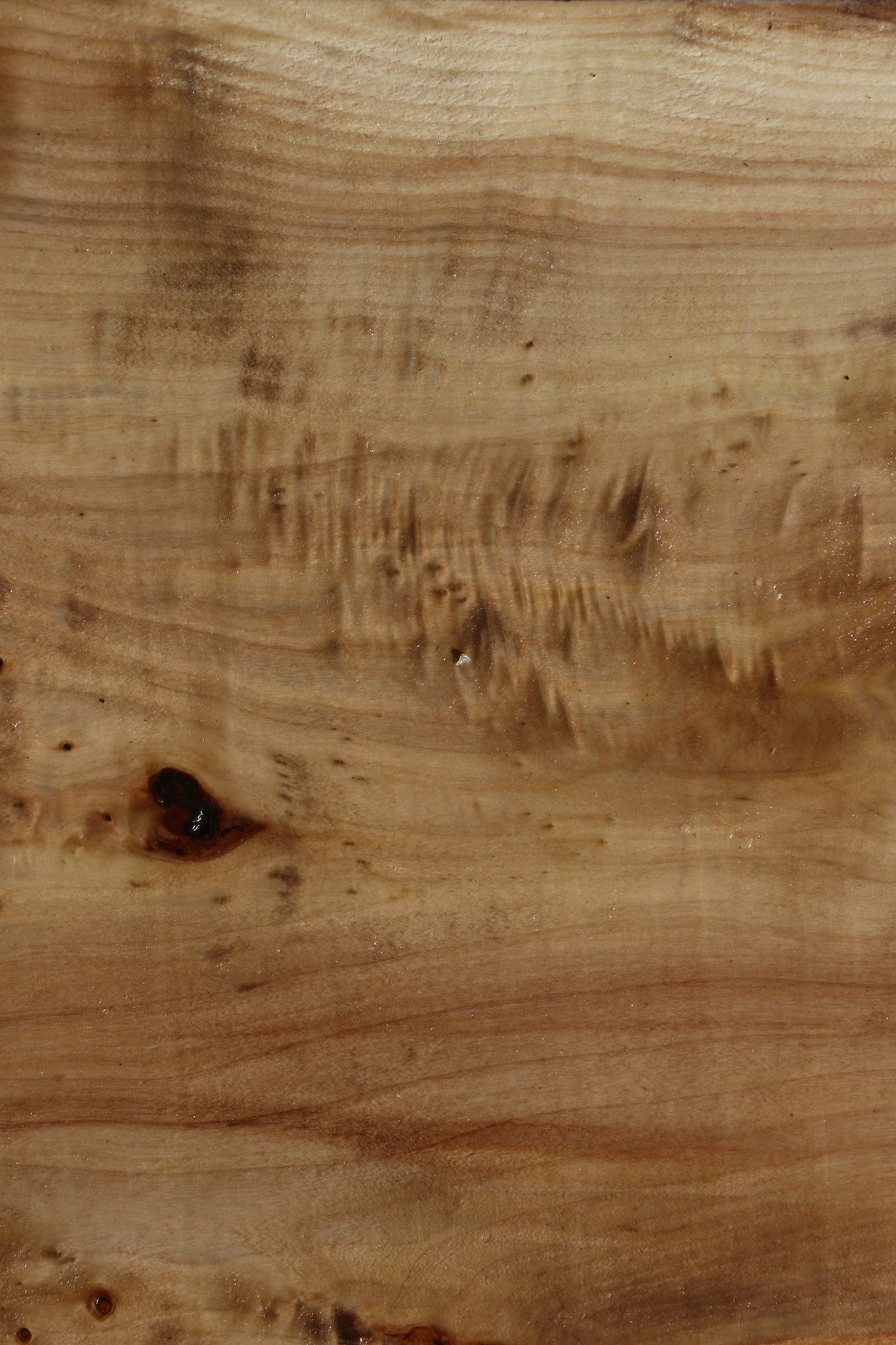Figured Black Cottonwood Bowl Blank