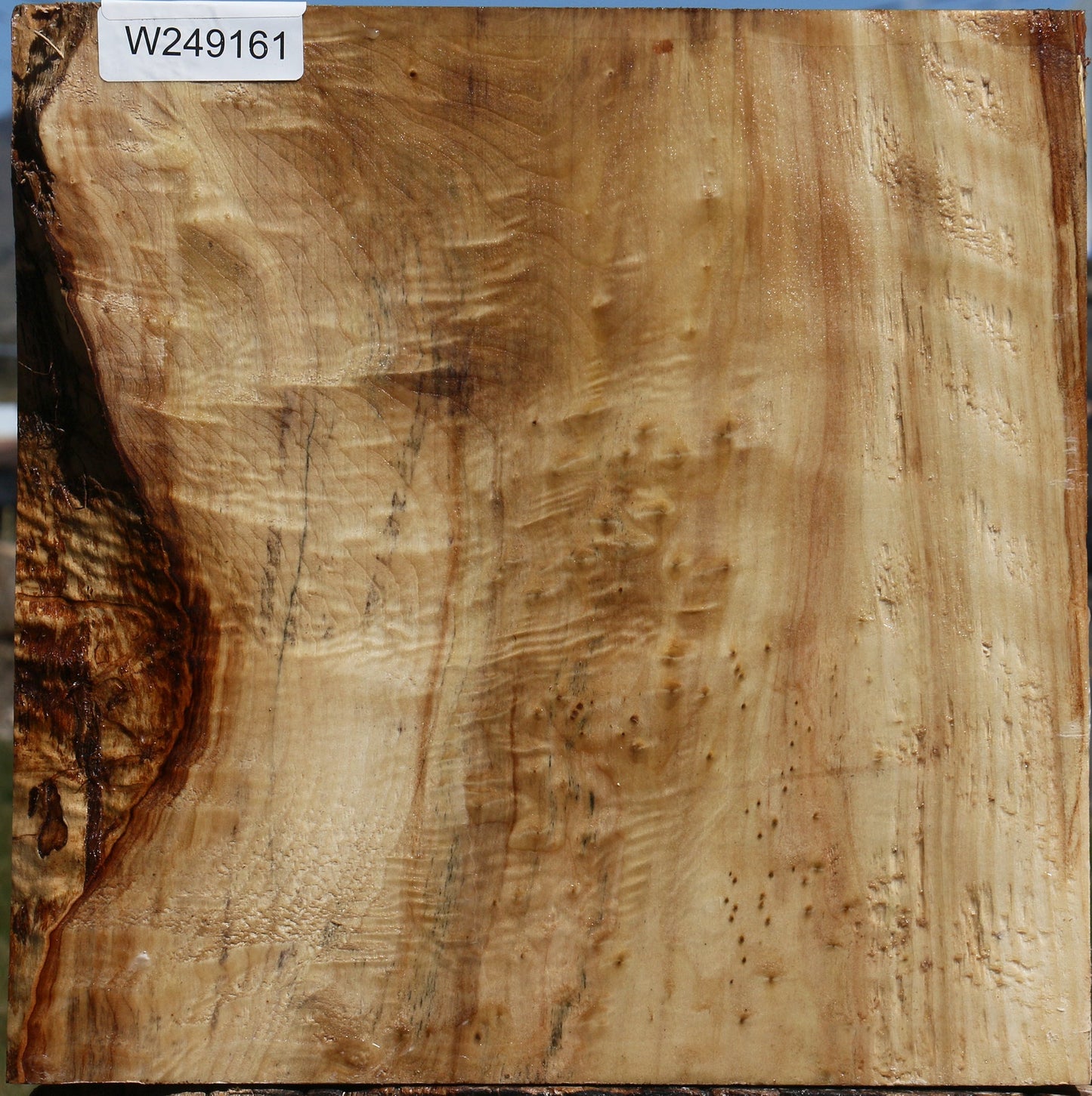 Black Cottonwood Bowl Blank