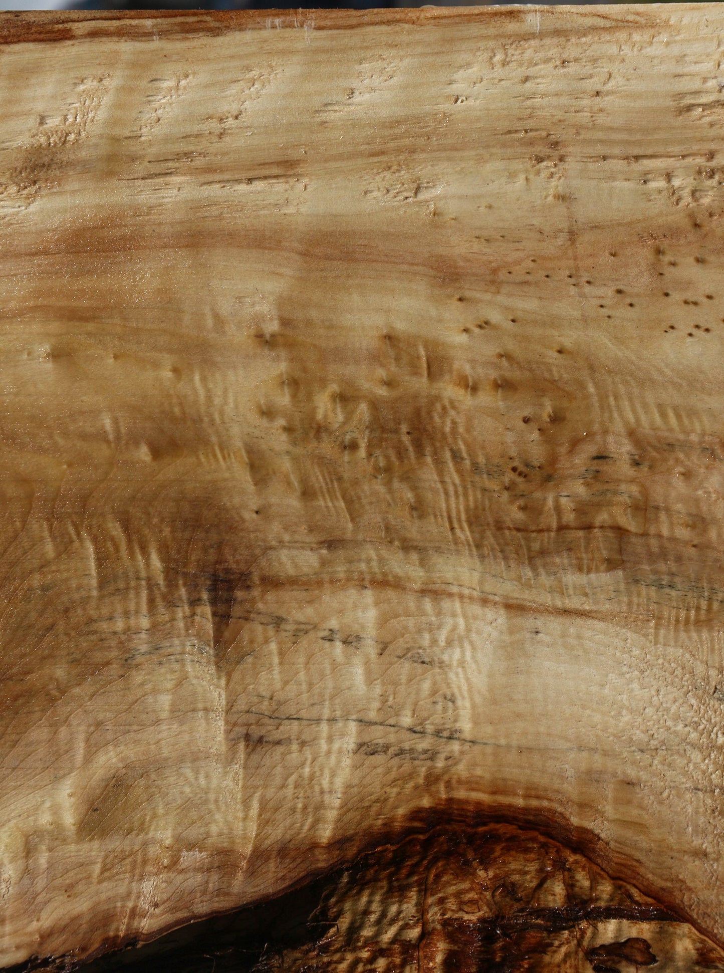 Black Cottonwood Bowl Blank