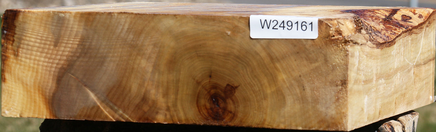 Black Cottonwood Bowl Blank