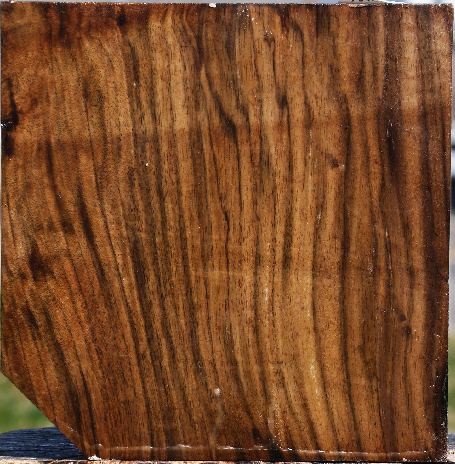 Extra Fancy Claro Walnut Bowl Blank