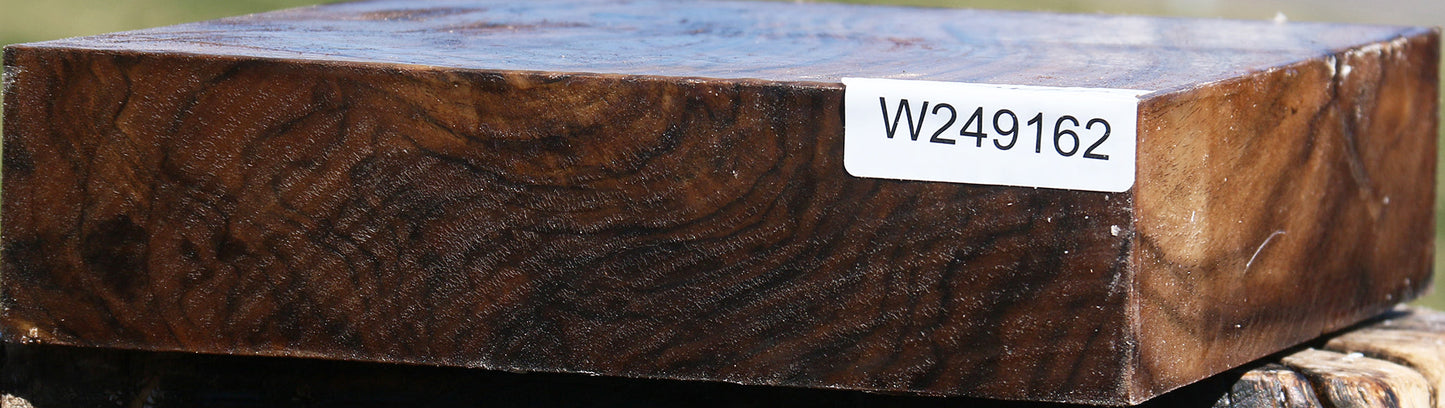 Extra Fancy Claro Walnut Bowl Blank
