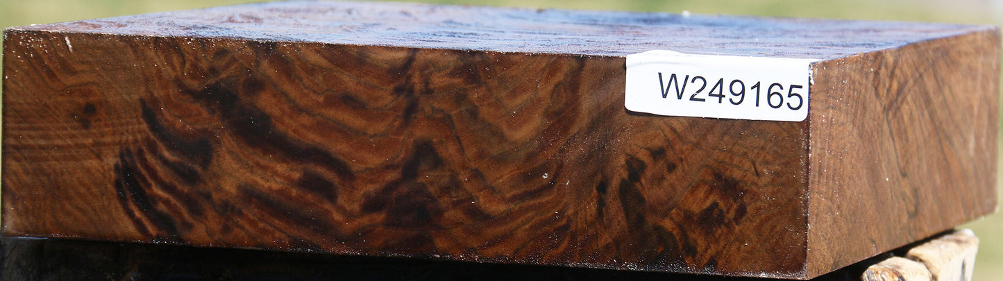 Extra Fancy Claro Walnut Bowl Blank