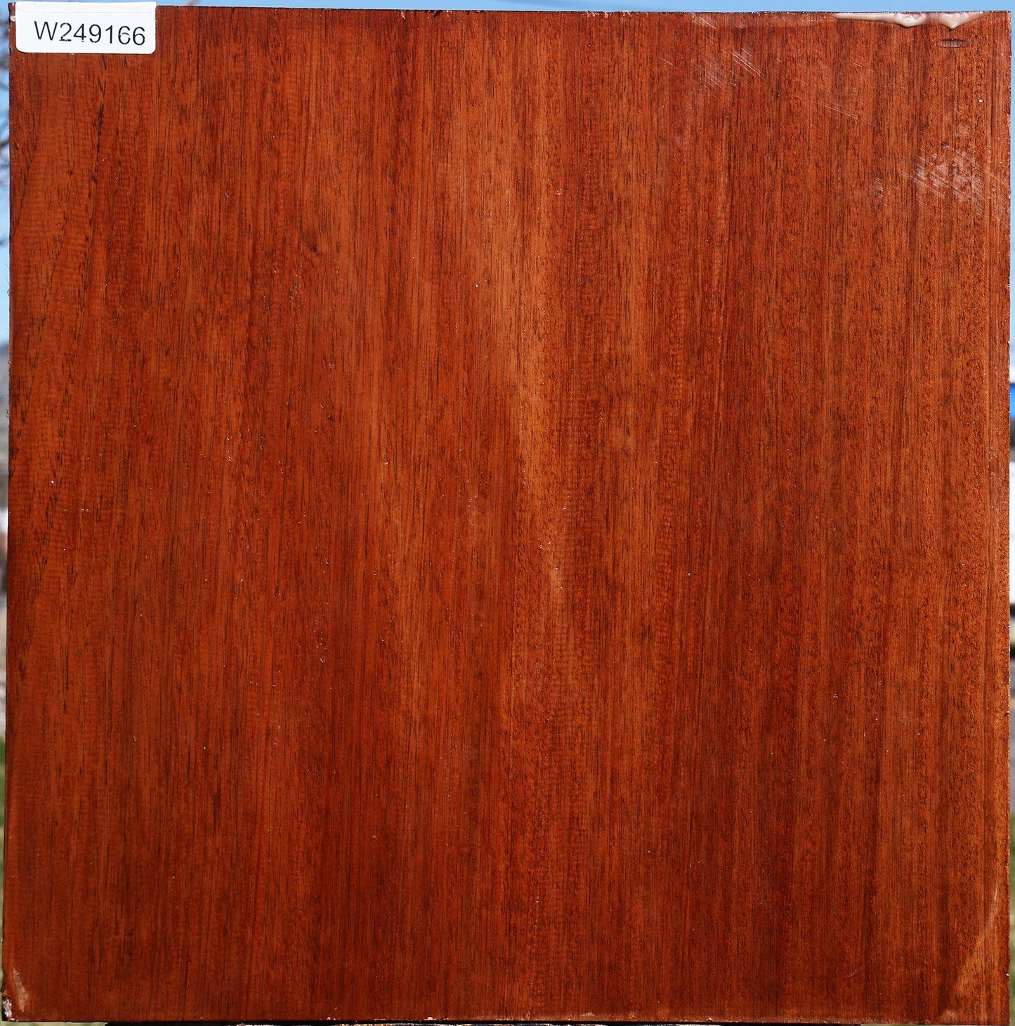 Sipo Bowl Blank