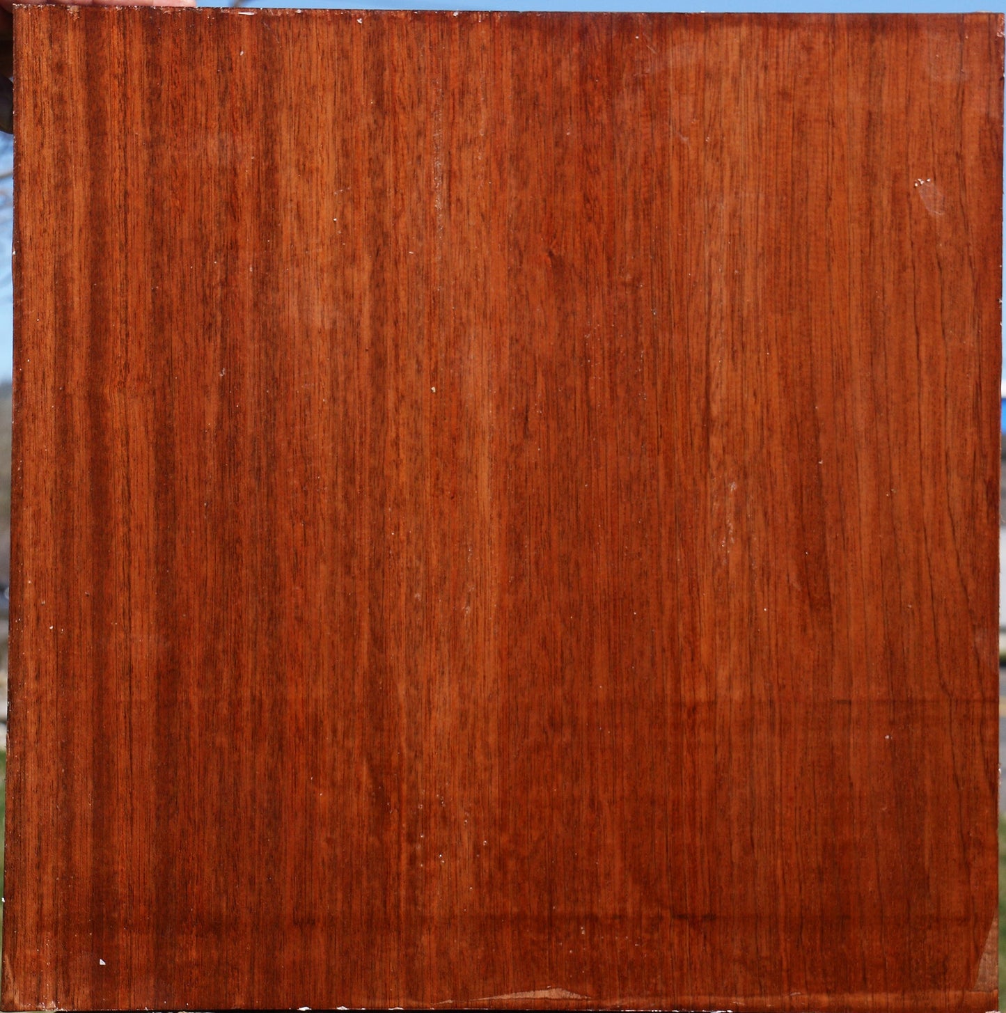 Sipo Bowl Blank