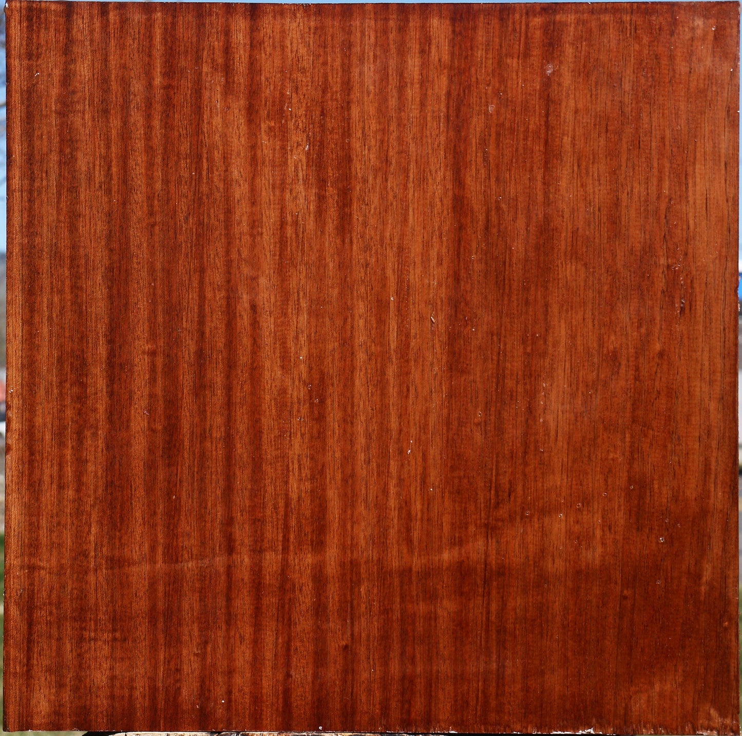 Sipo Bowl Blank