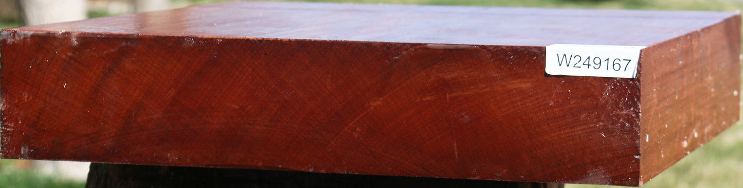 Sipo Bowl Blank