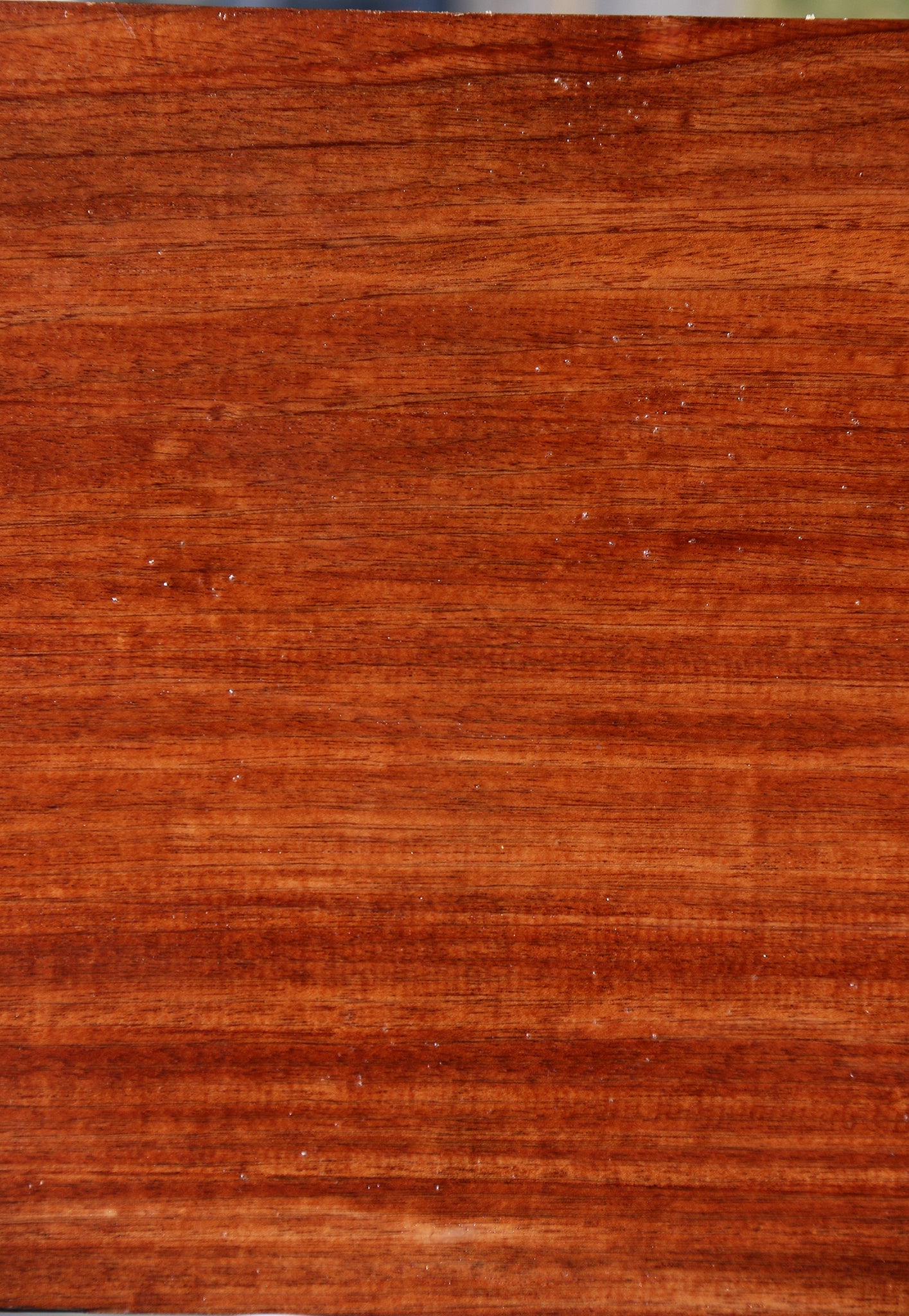 Sipo Bowl Blank
