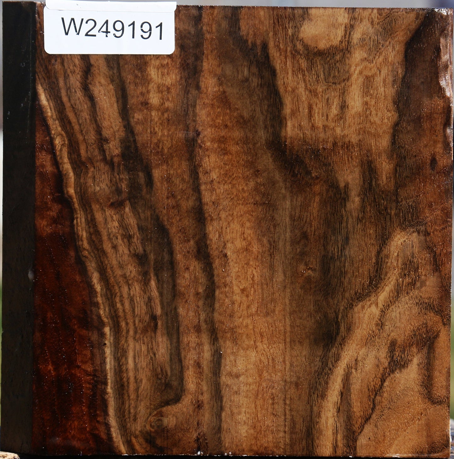 Figured Claro Walnut Bowl Blank