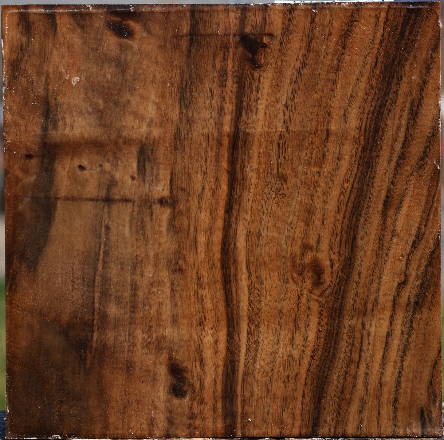 Figured Claro Walnut Bowl Blank