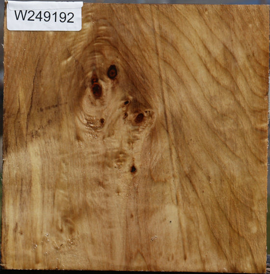 Black Cottonwood Bowl Blank