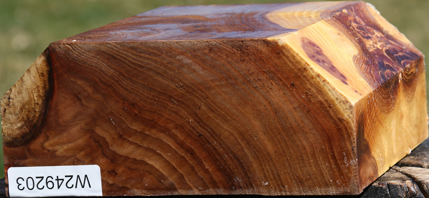 Figured Elm Bowl Blank