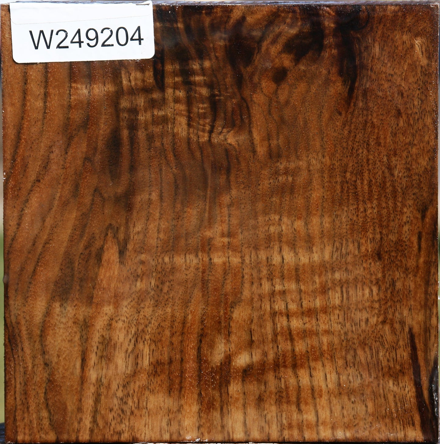 Figured Claro Walnut Bowl Blank