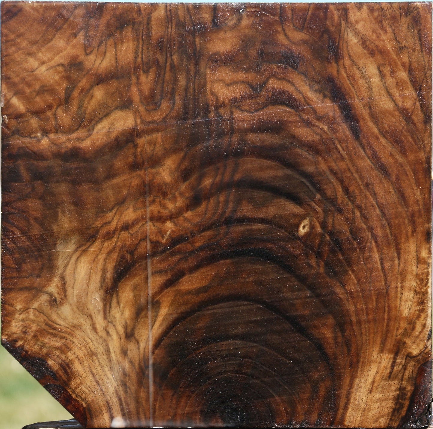 Extra Fancy Claro Walnut Bowl Blank