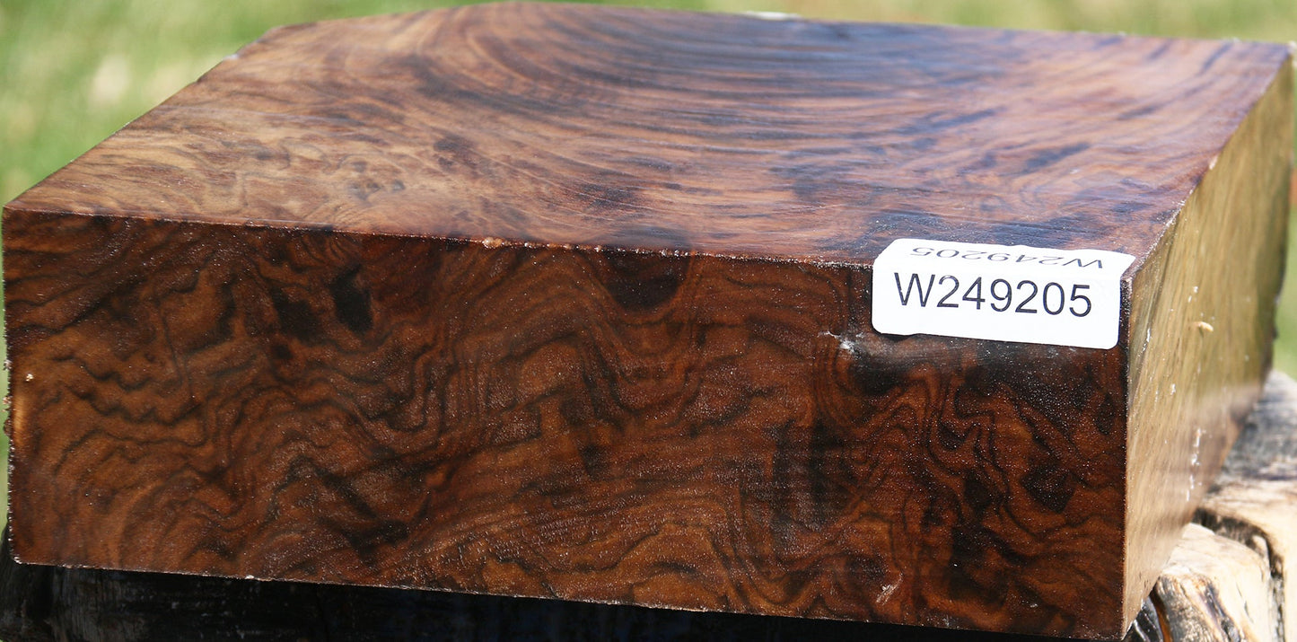 Extra Fancy Claro Walnut Bowl Blank