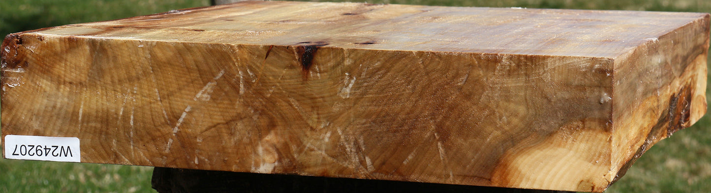 Black Cottonwood Bowl Blank