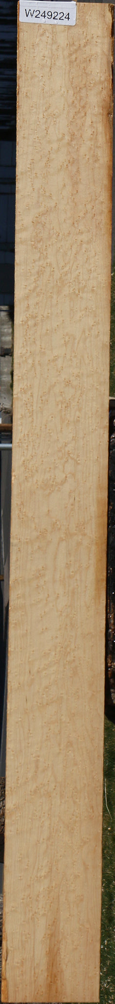 Extra Fancy Birdseye Maple Lumber