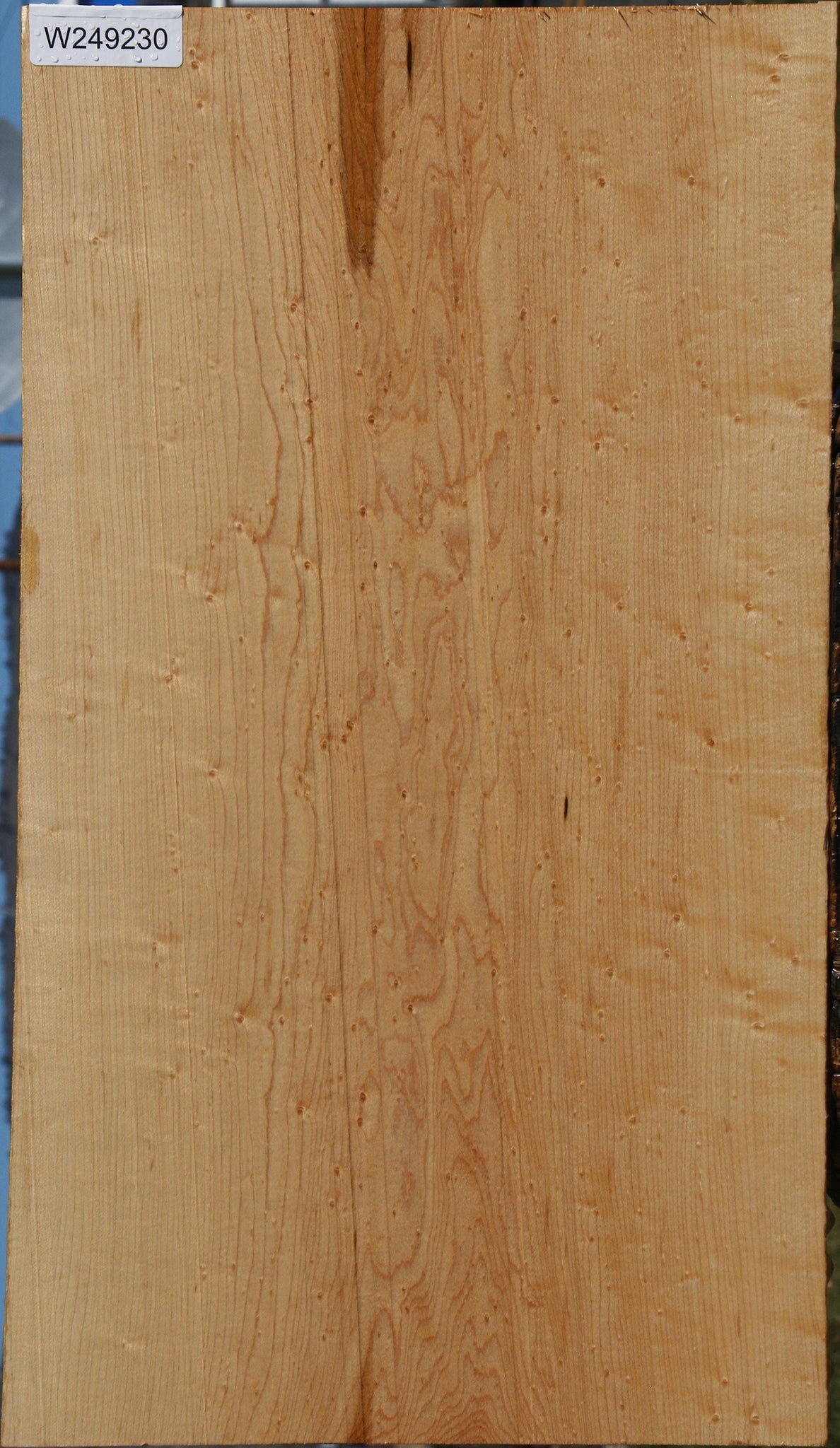 Birdseye Maple Lumber