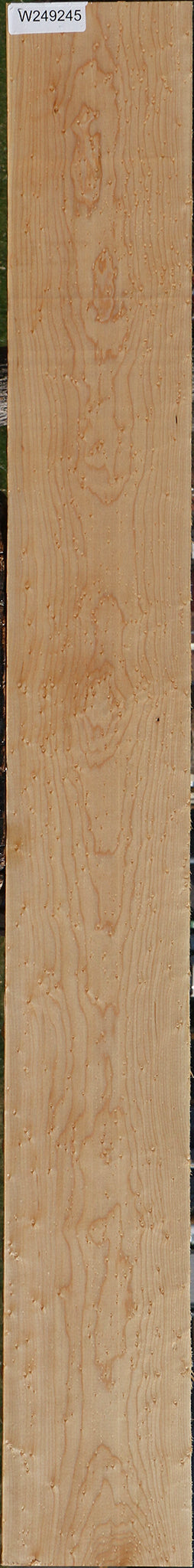 Birdseye Maple Lumber