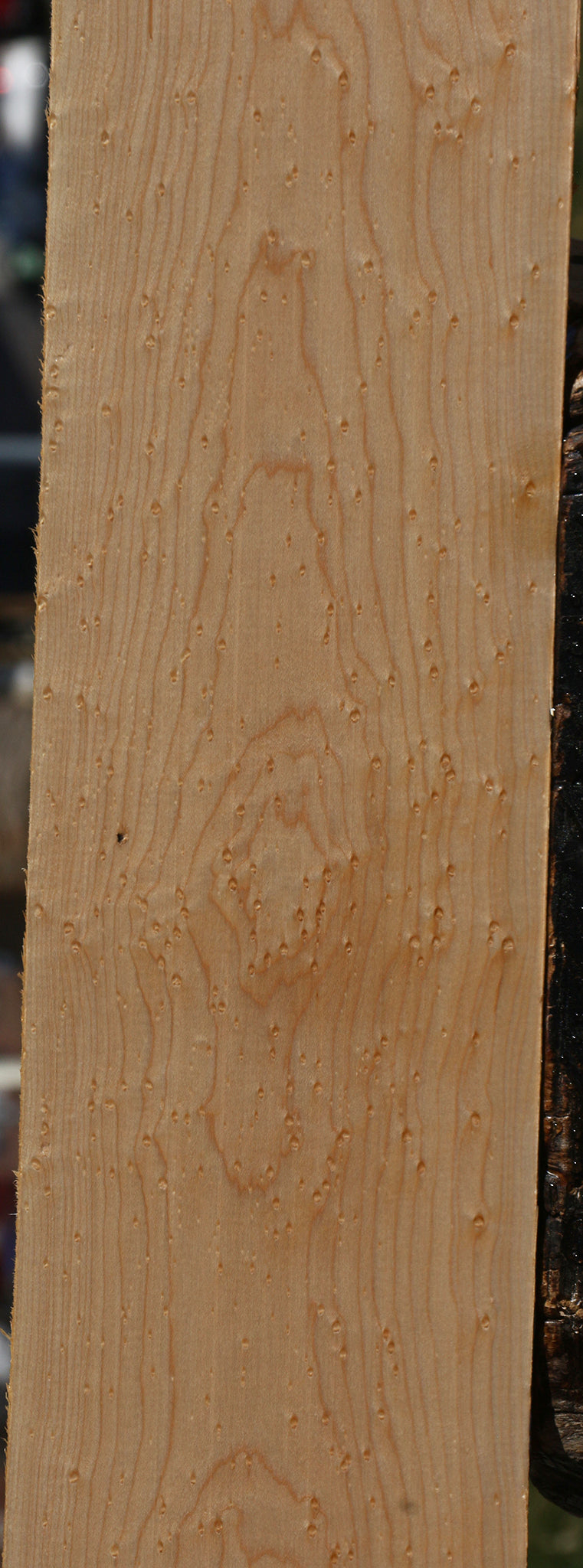 Birdseye Maple Lumber