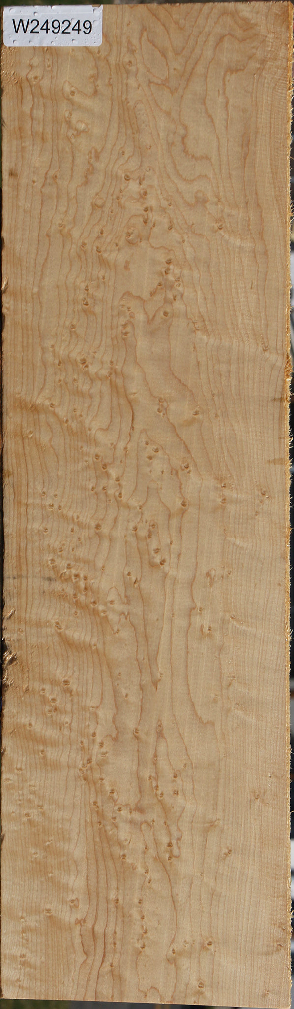 Extra Fancy Birdseye Maple Lumber