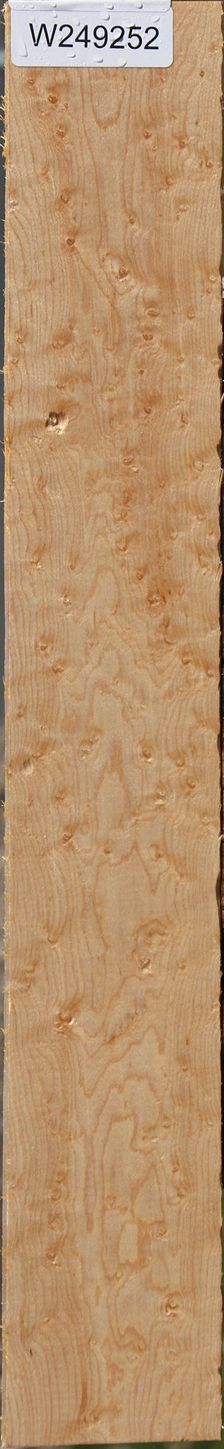 Extra Fancy Birdseye Maple Lumber