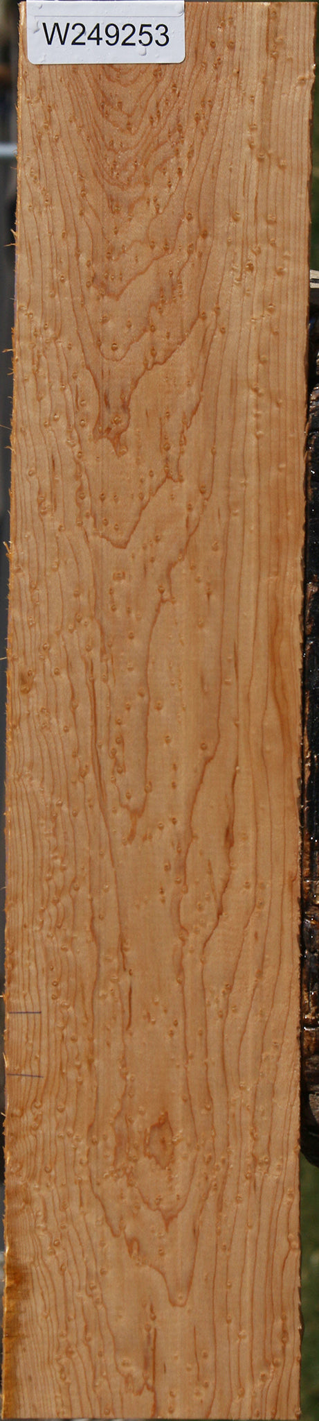 Figured Birdseye Maple Lumber